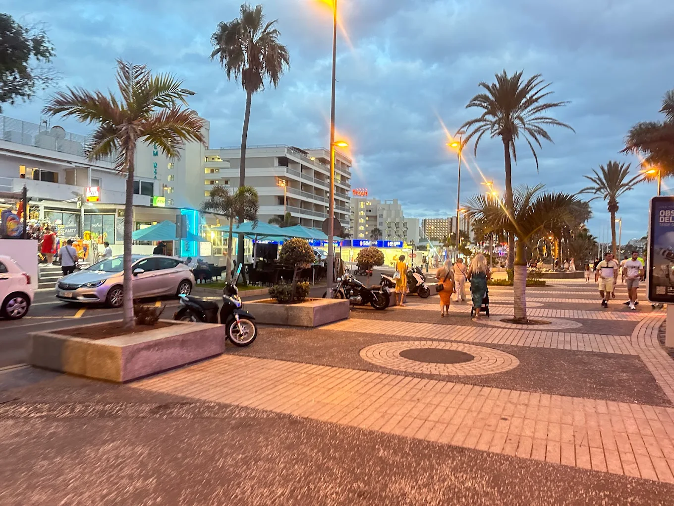 Dolphin Watching in Playa de las Américas