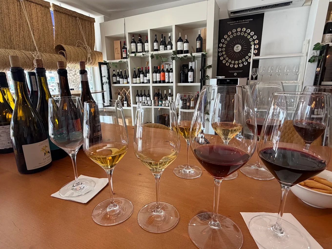 Wine Tasting in Playa de las Américas photo 2