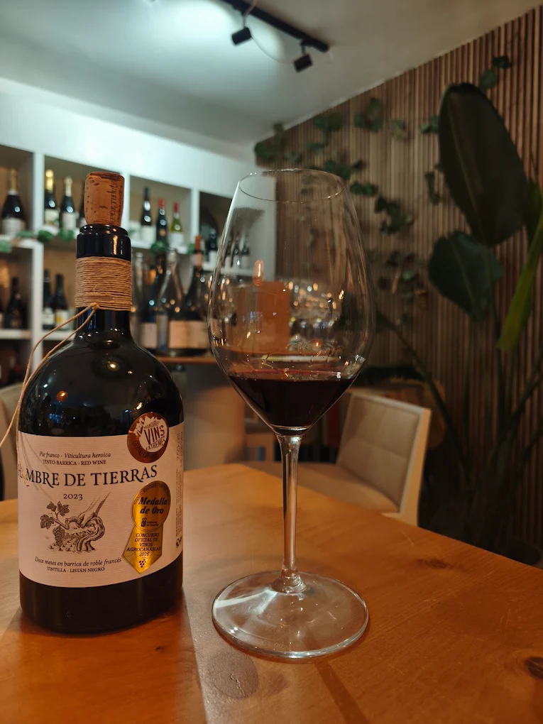 Wine Tasting in Playa de las Américas photo 3