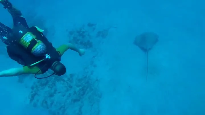 Diving & Snorkeling in Playa de las Américas