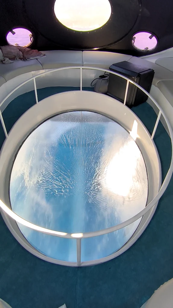 Glass Bottom Boat in Playa de las Américas photo 3