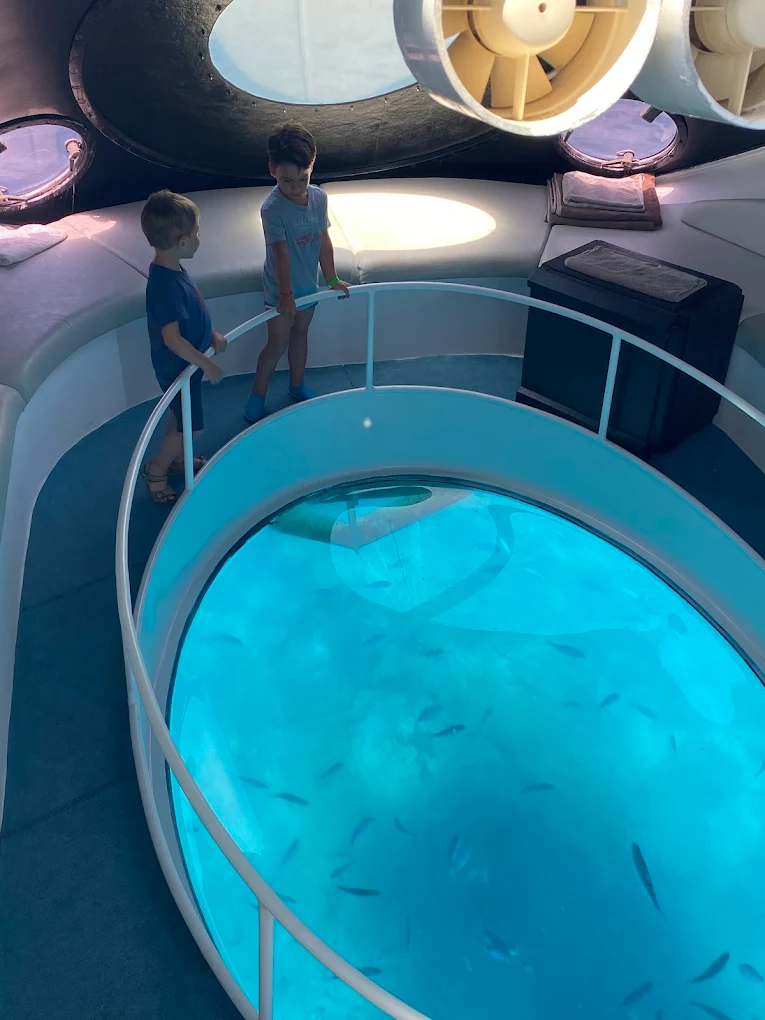 Glass Bottom Boat in Playa de las Américas photo 4