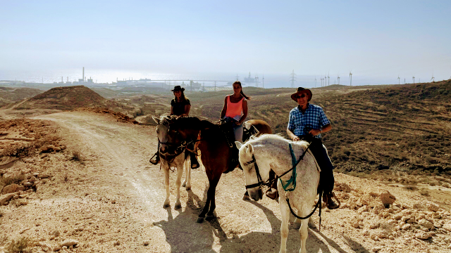 Horseback Riding in Playa de las Américas photo 5