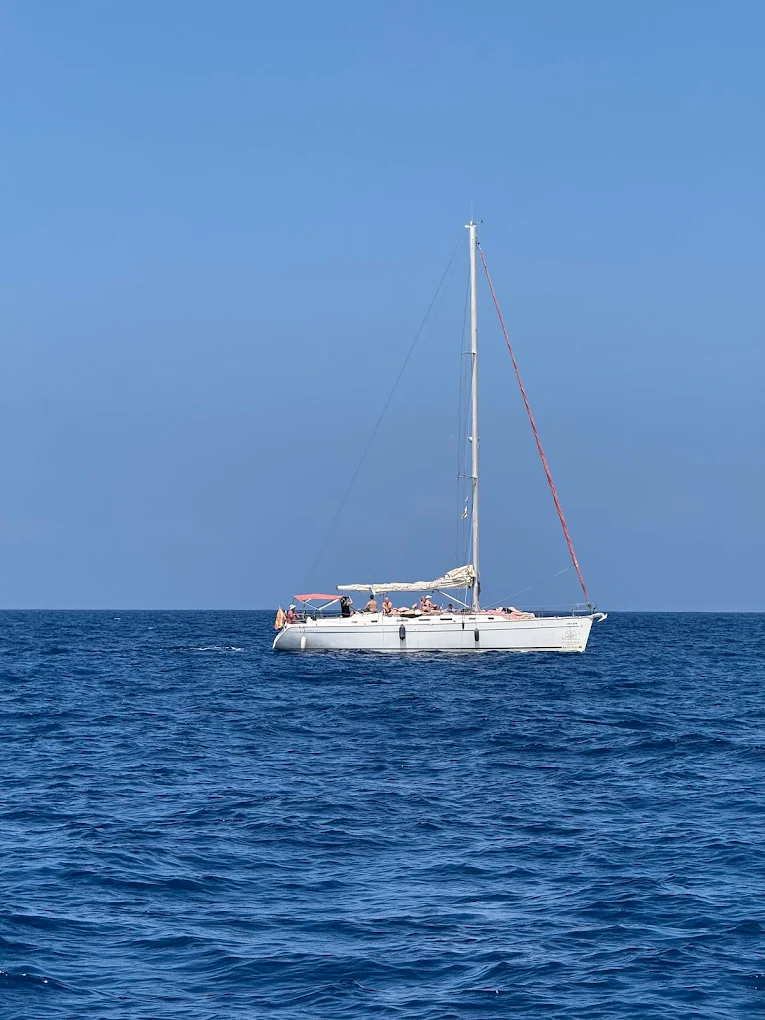 Catamaran Cruise in Playa de las Américas photo 5