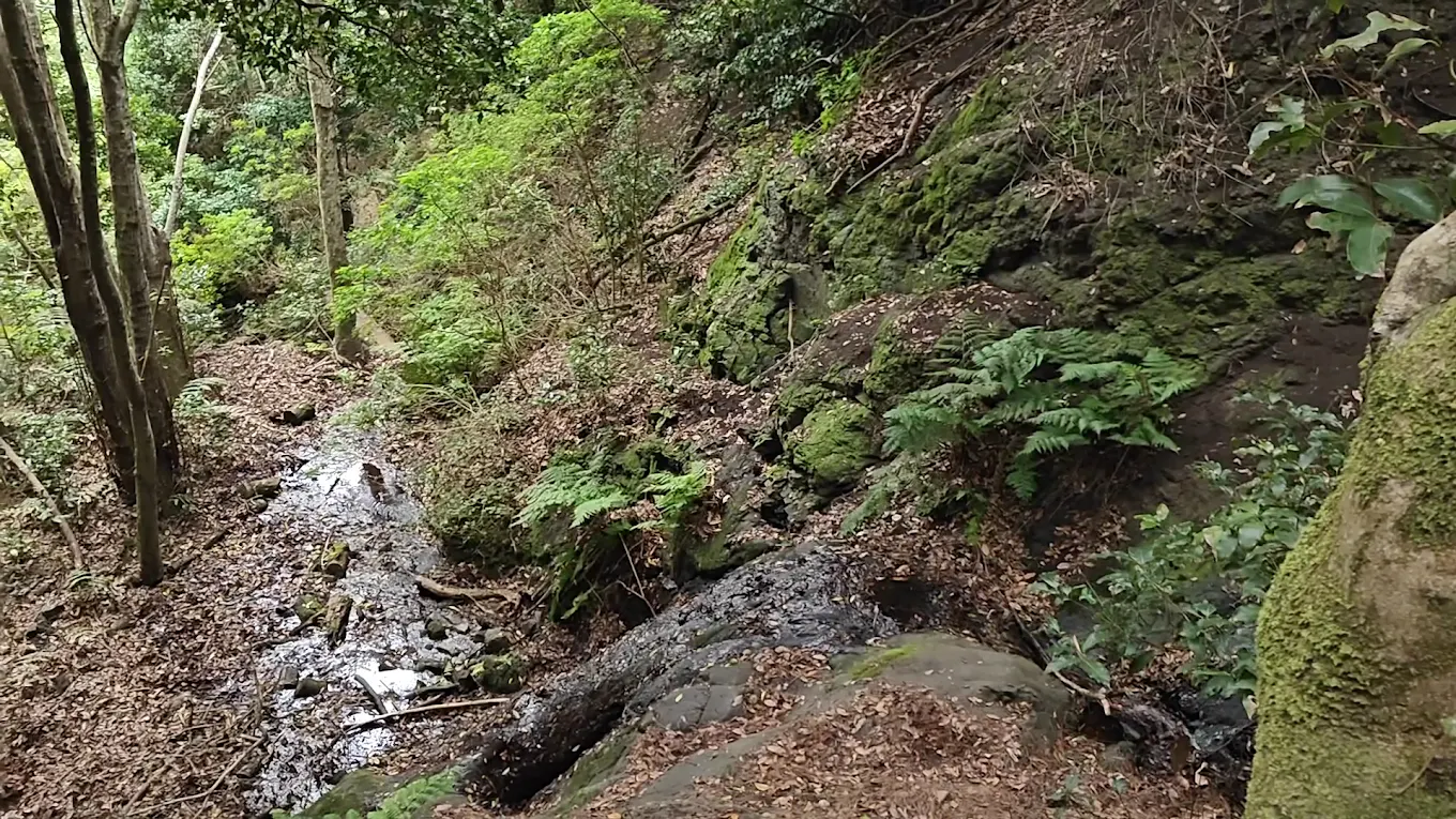 Hermigua Hiking