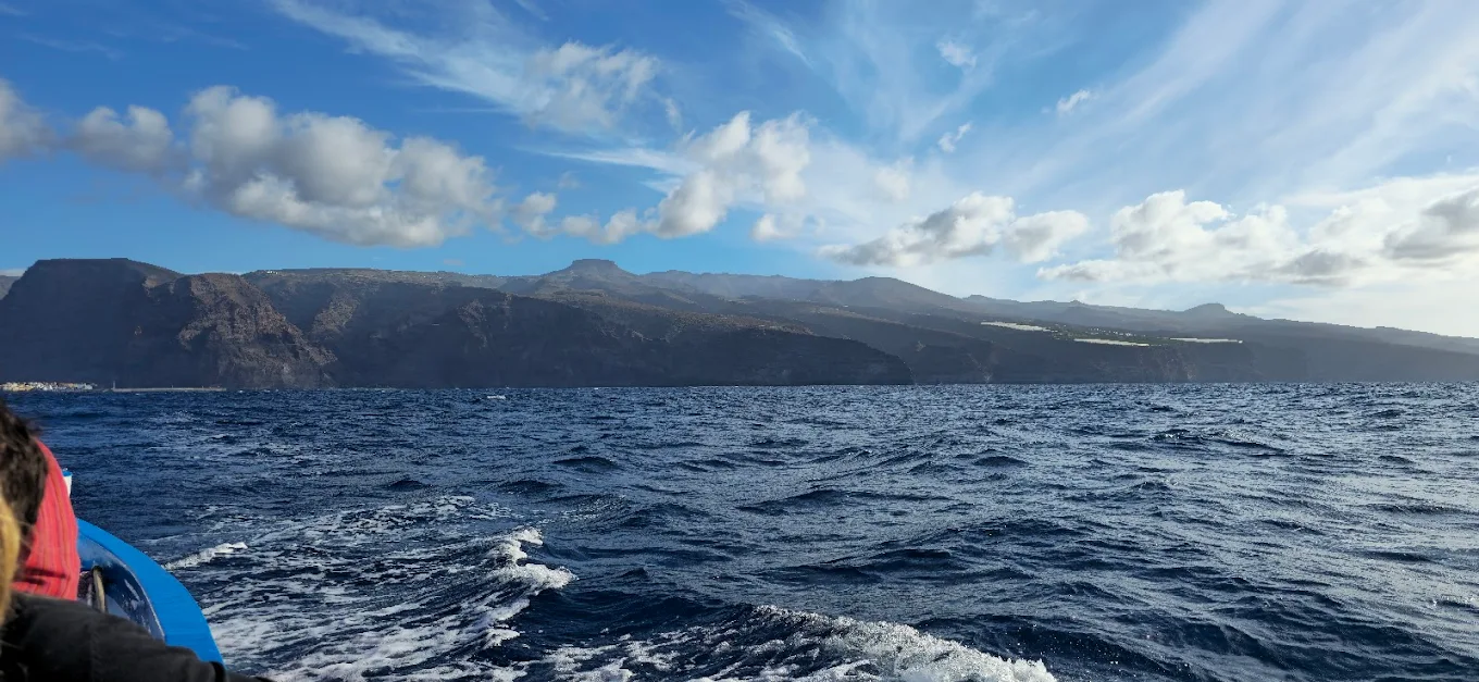 Playa de Santiago Whale Watching
