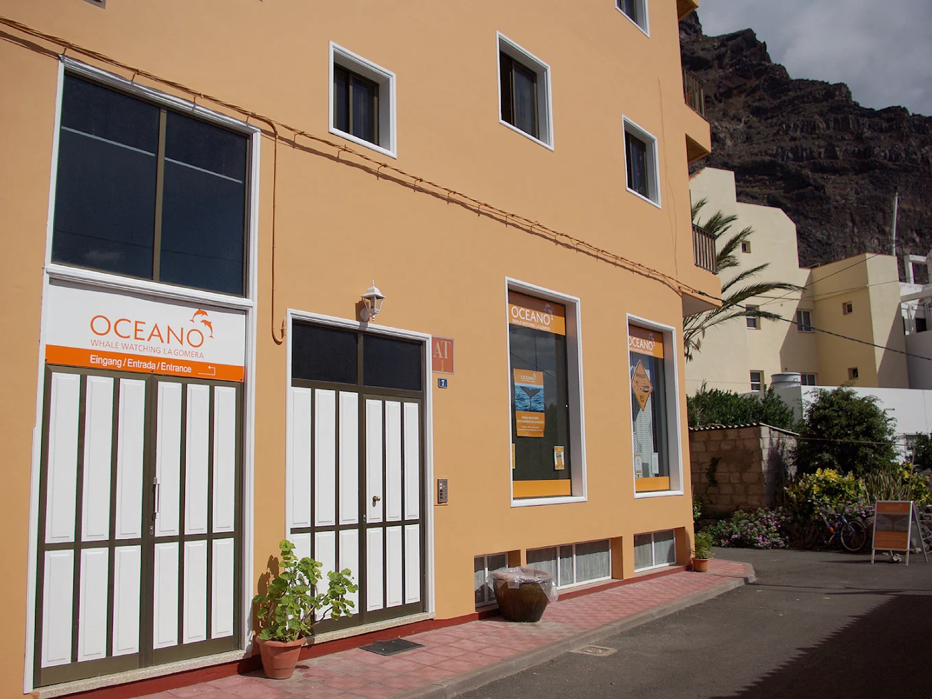 Playa de Santiago Whale Watching photo 4