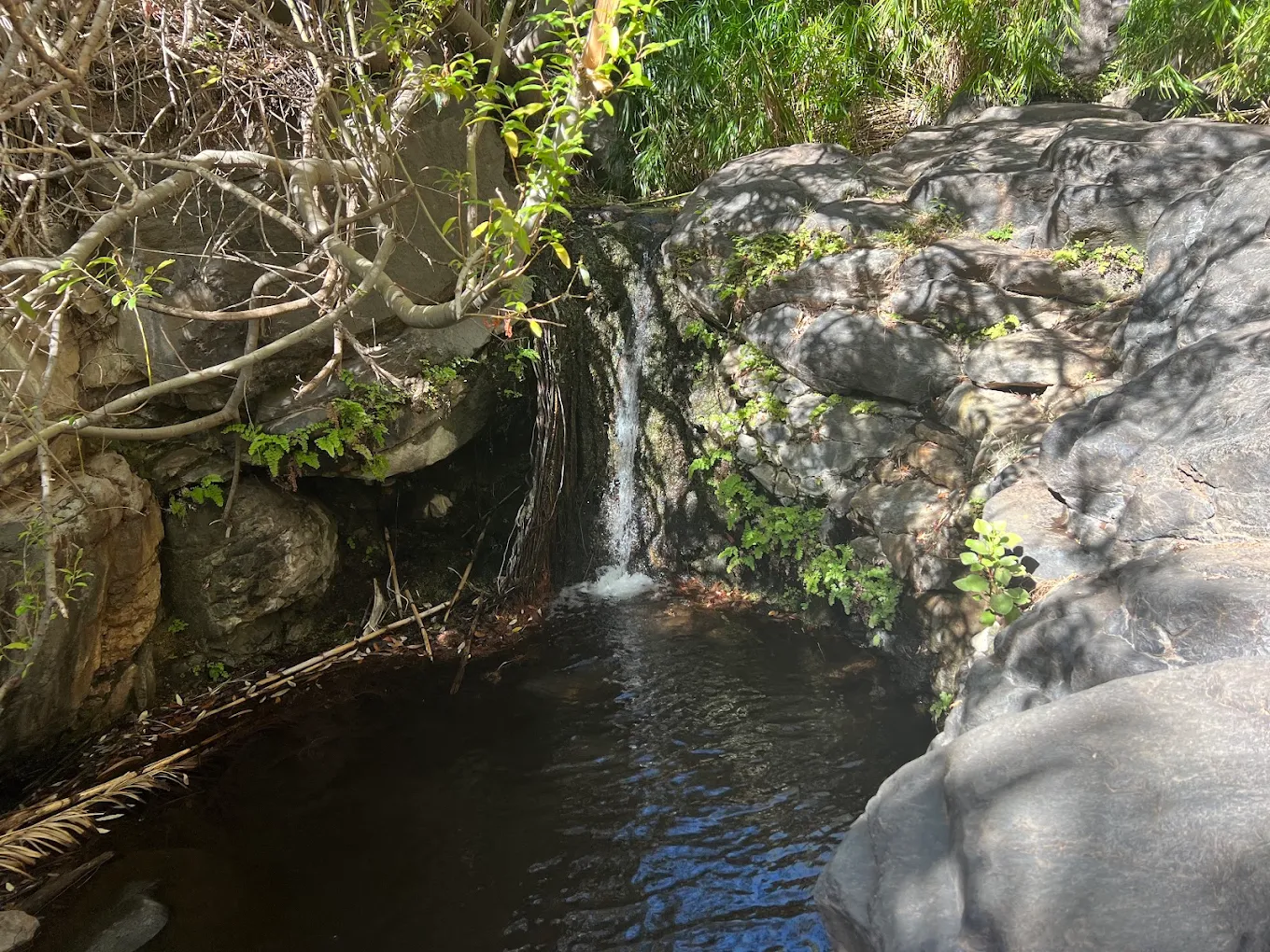 Valle Gran Rey Hiking photo 5