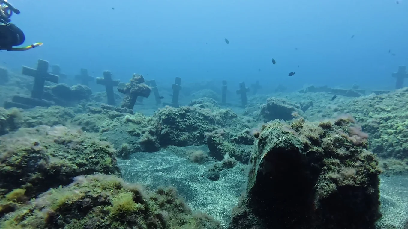 Diving CC photo 2