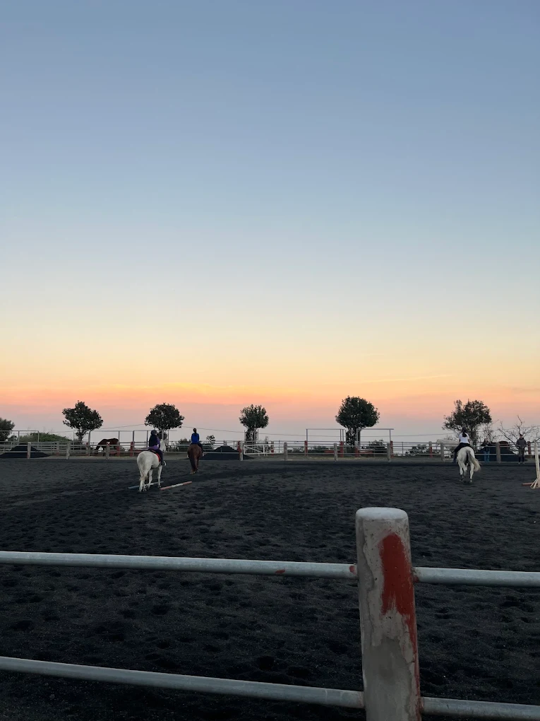 Breña Alta Horseback