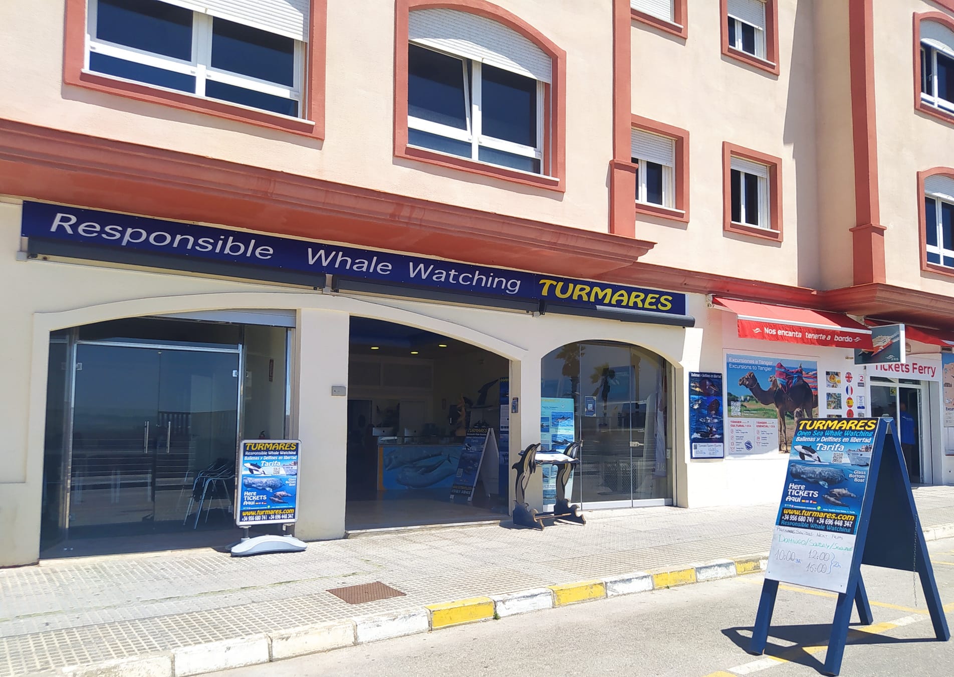 Whale Watching in Cala Tarida photo 4