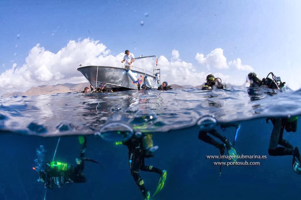 Scuba Courses in San José photo 4