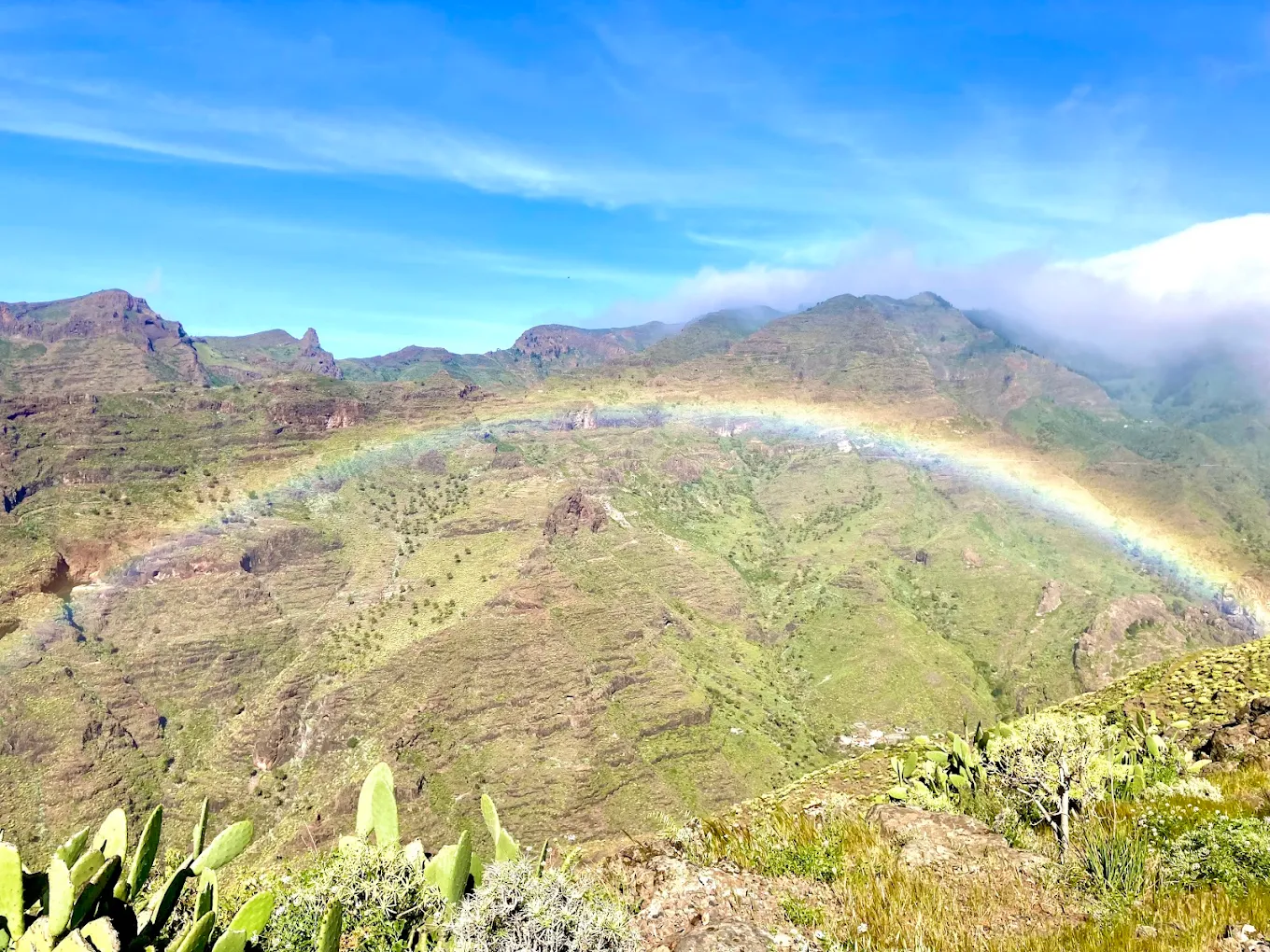 Hiking Tours in Valle Gran Rey photo 2