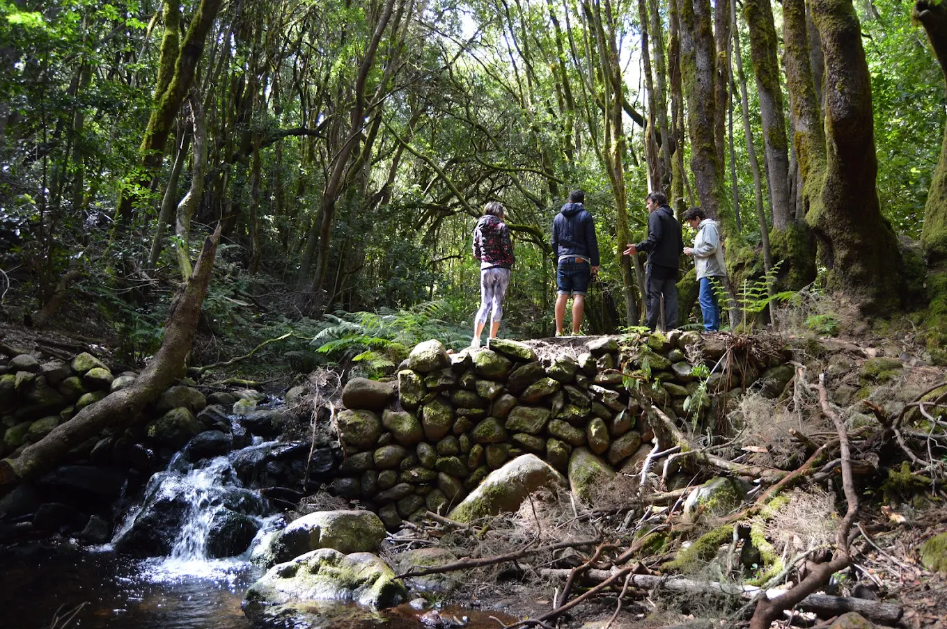 Hiking Tours in Valle Gran Rey photo 3