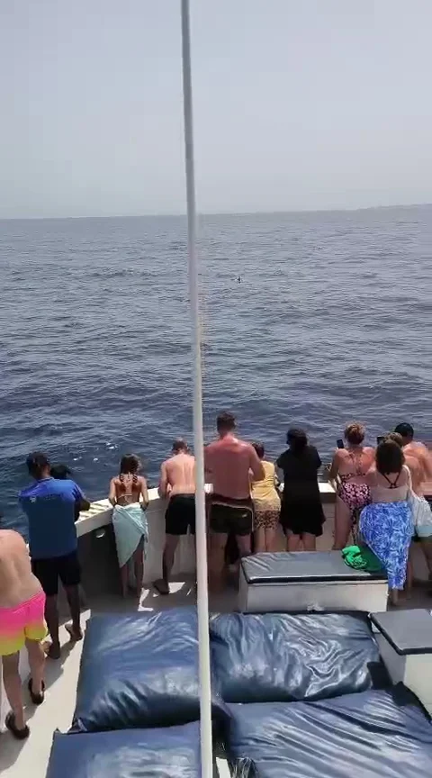 Catamaran Cruise in Puerto Calero