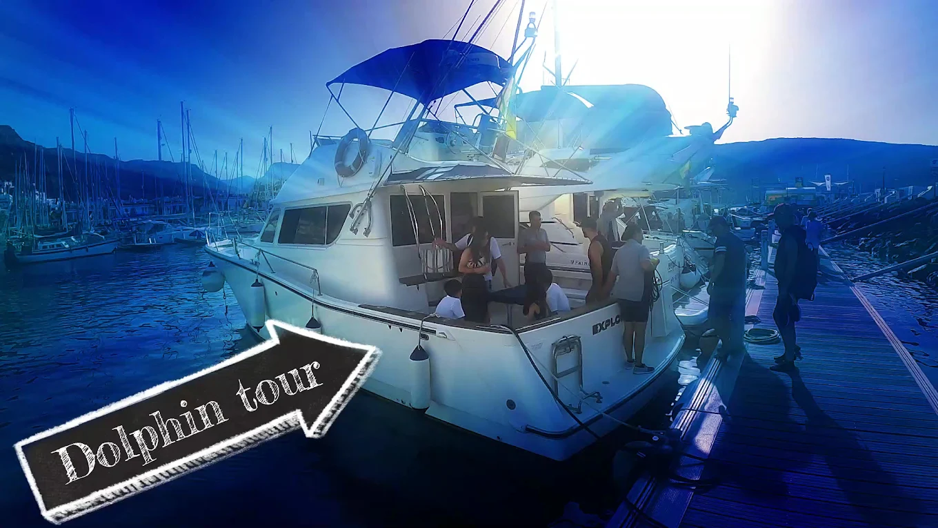 Family Boat Trips in Los Cristianos photo 2