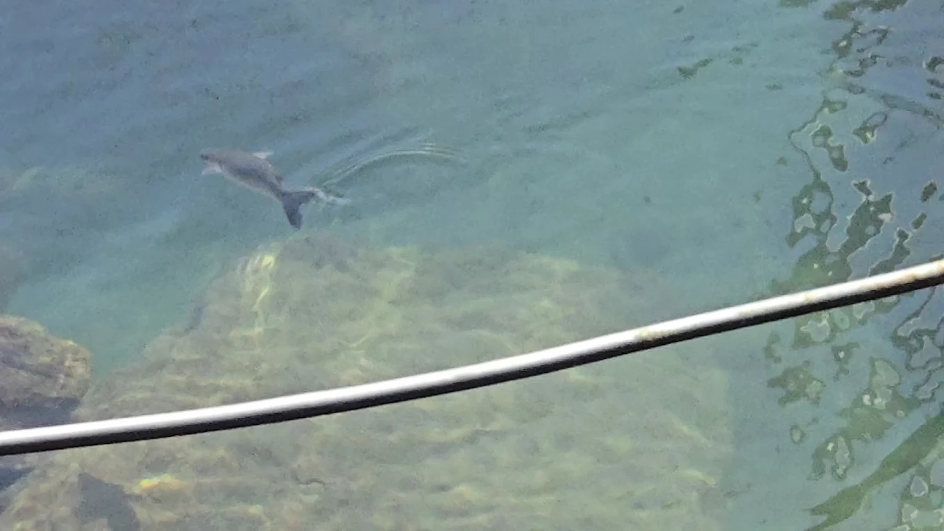 Fishing Charter in Playa de Santiago