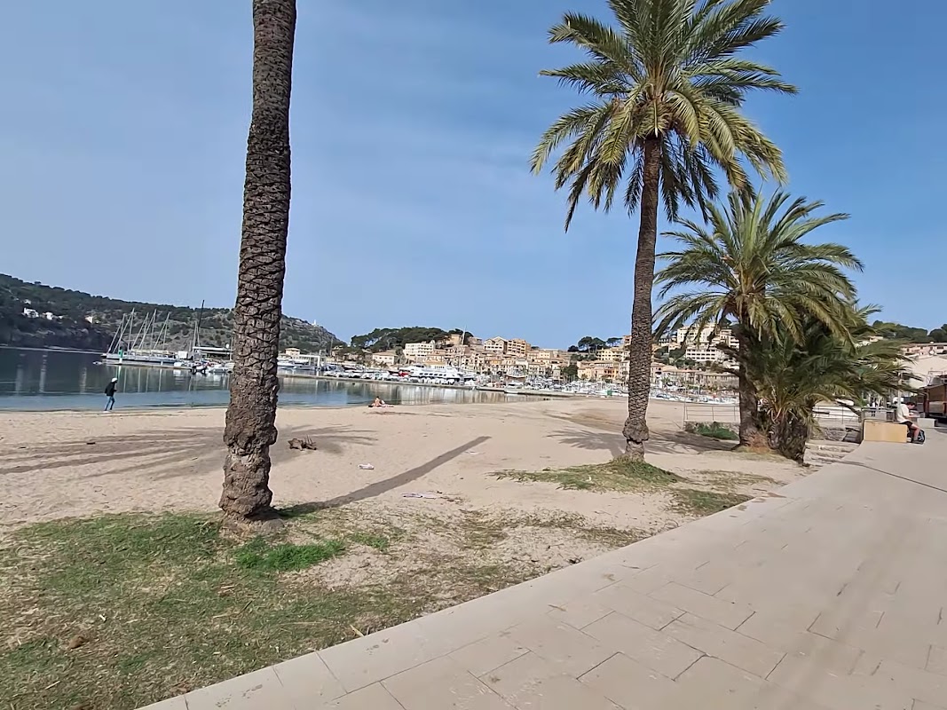 Quad & Buggy Tours in Port de Sóller photo 3