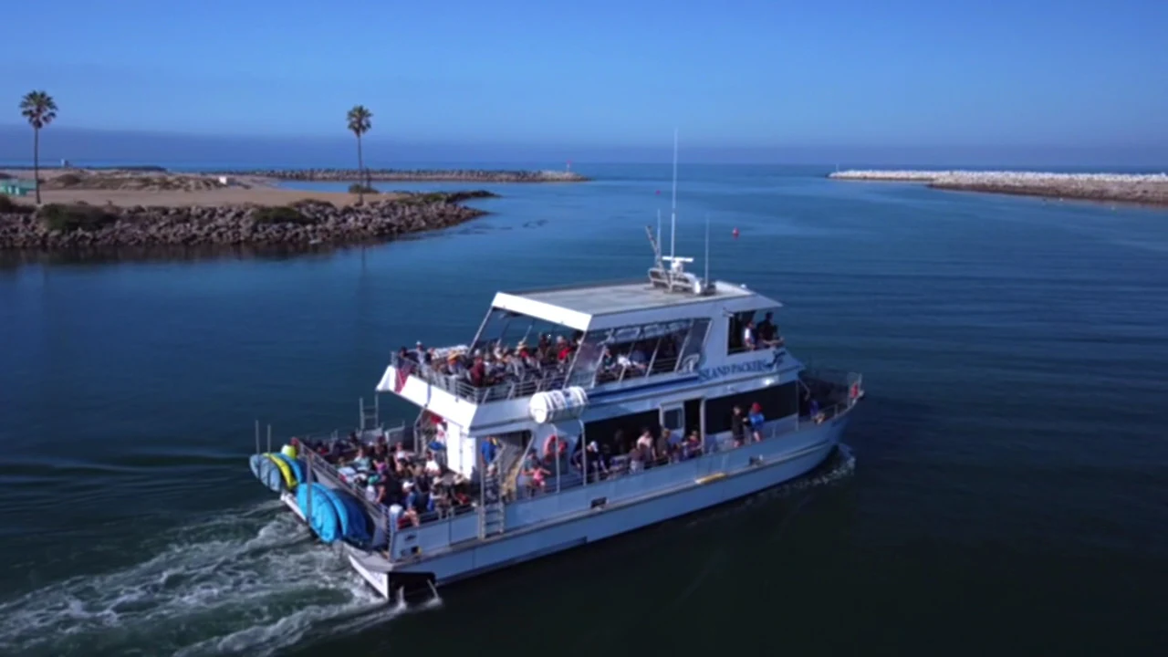 Island Hopping Tour in Los Gigantes