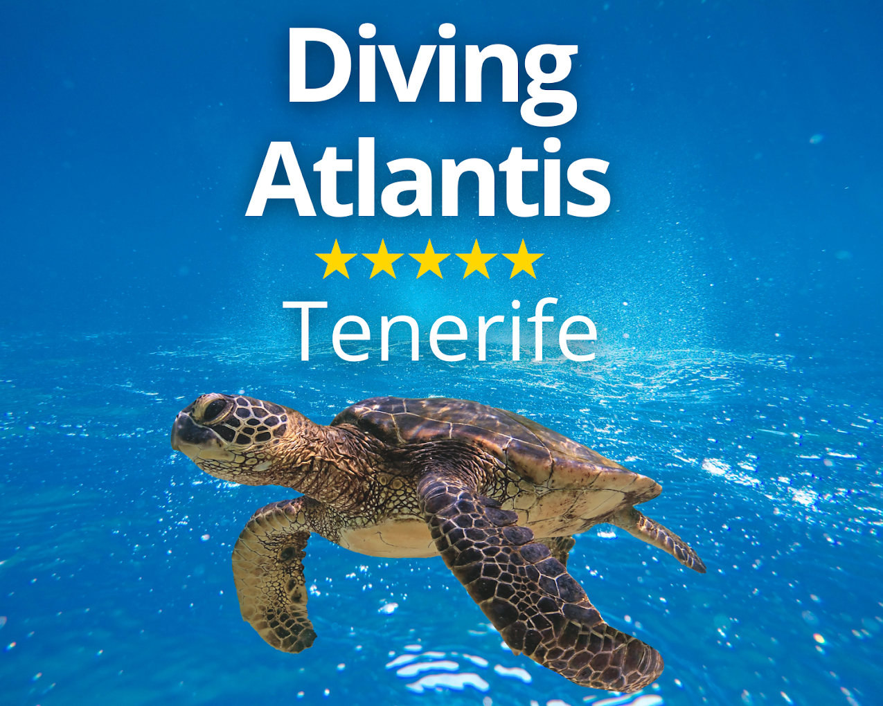 Snorkeling in La Caleta photo 4