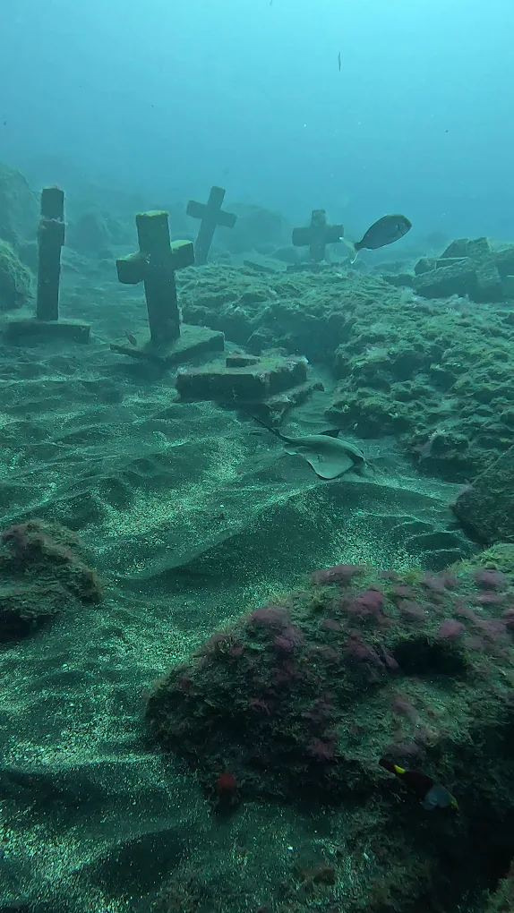 Diving & Snorkeling in Santa Cruz de La Palma photo 2