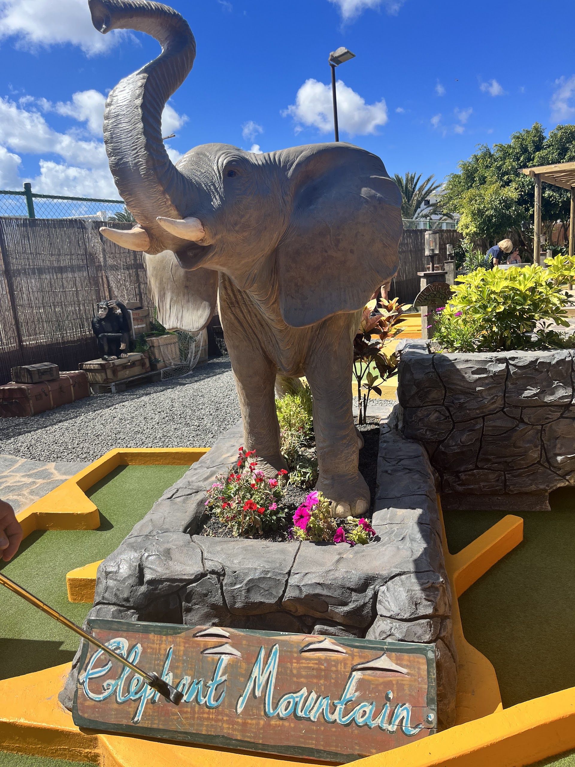 Jungle river adventure golf