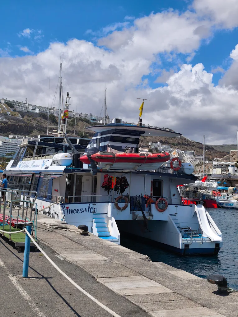 Boat Party in Puerto de Mogán photo 2