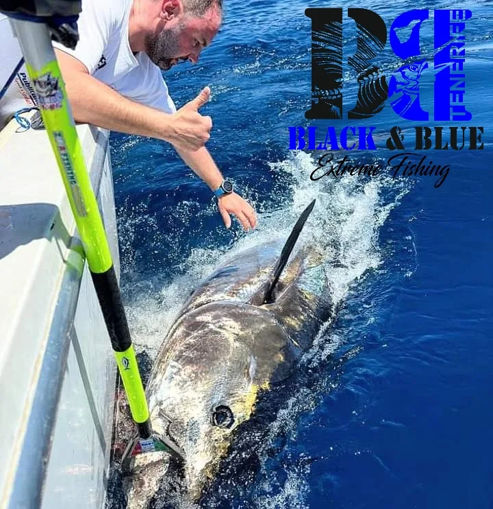 Fishing Charter in La Caleta photo 2