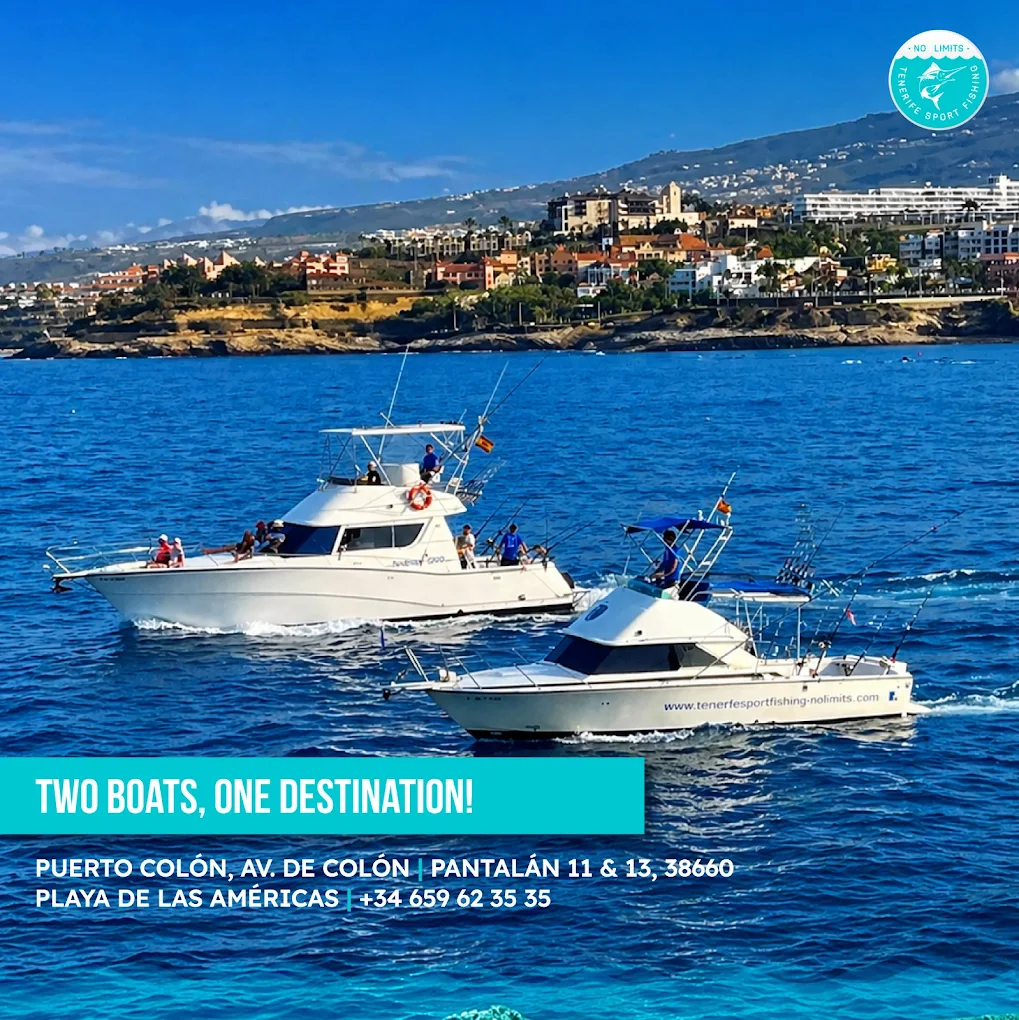 Fishing Charter in La Caleta photo 5