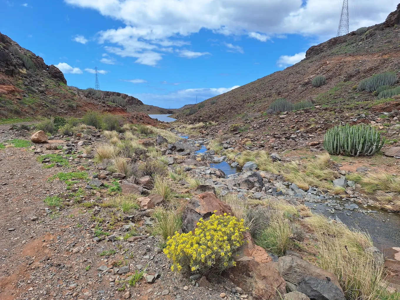 Hiking Tours in Meloneras photo 5