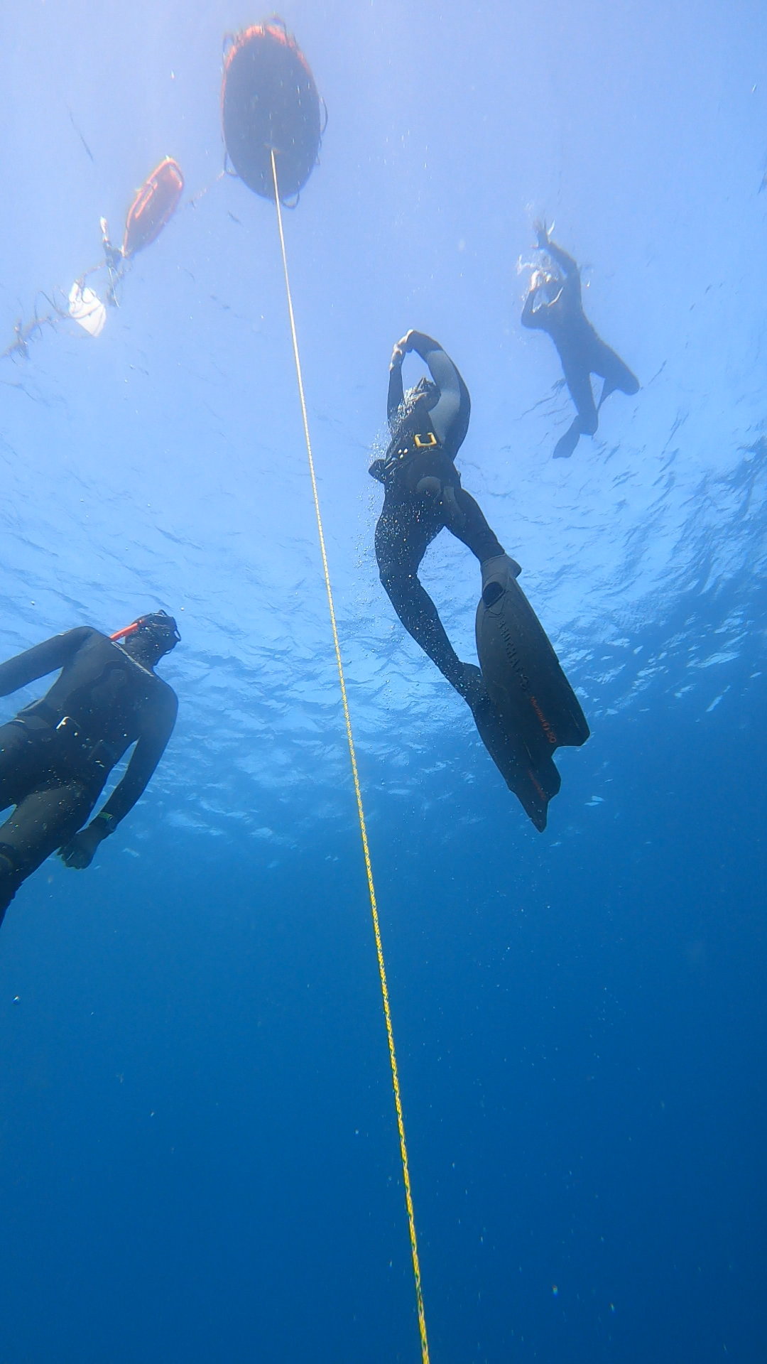 Beneath the waves Freediving