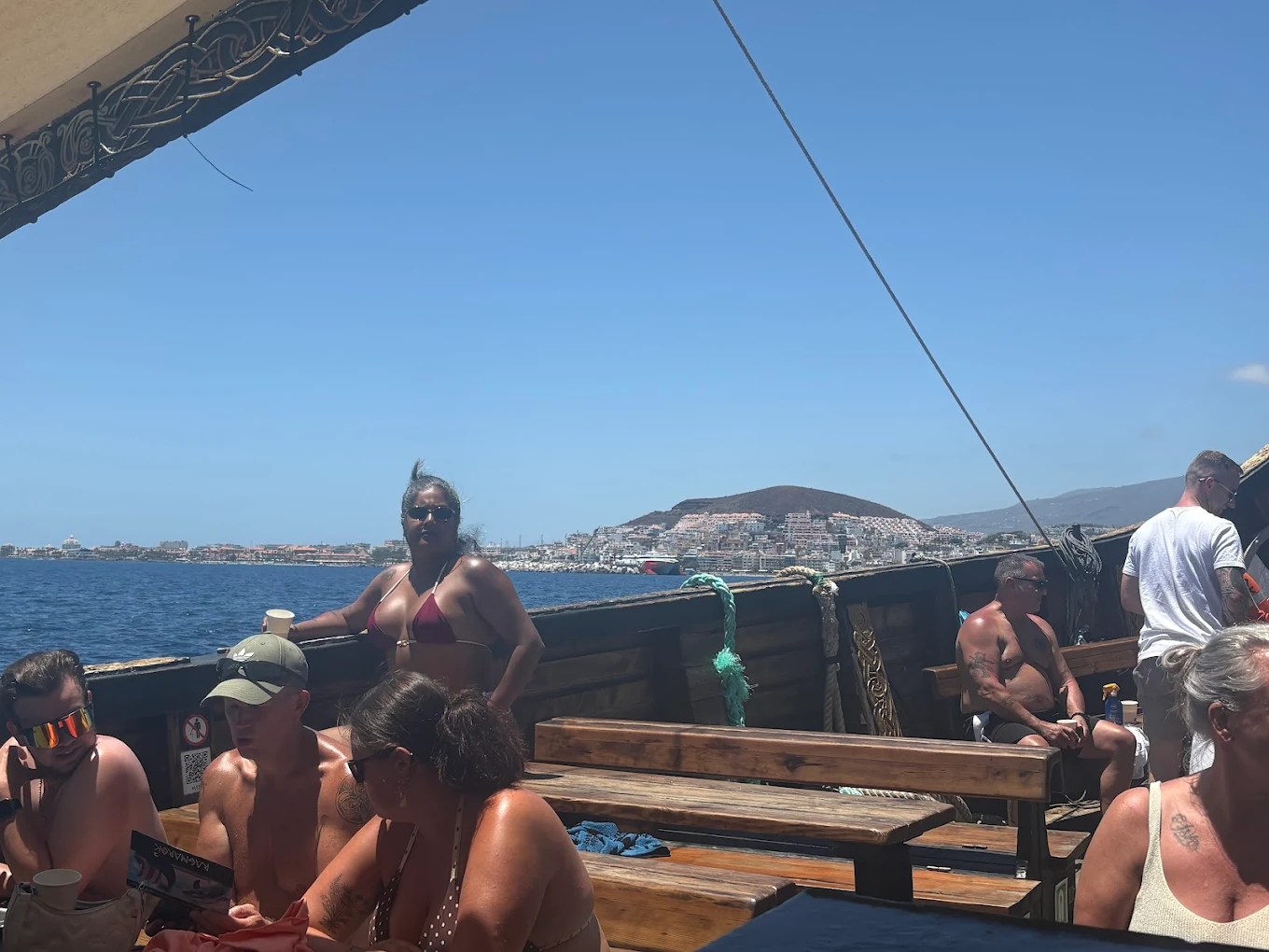 Dolphin Watching in Los Cristianos photo 2