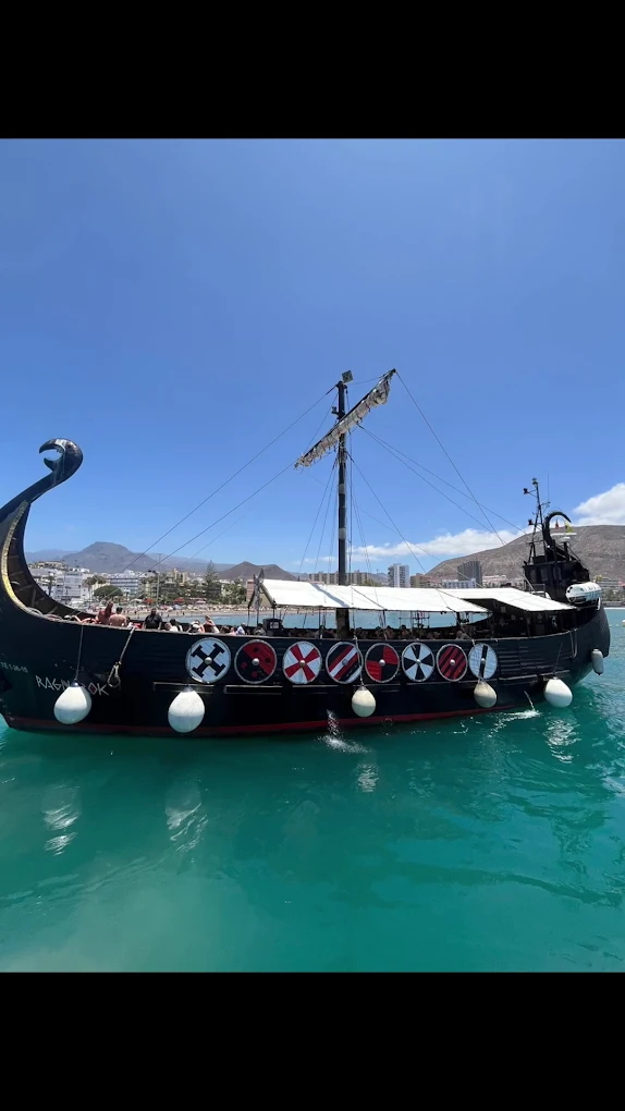 Dolphin Watching in Los Cristianos photo 4