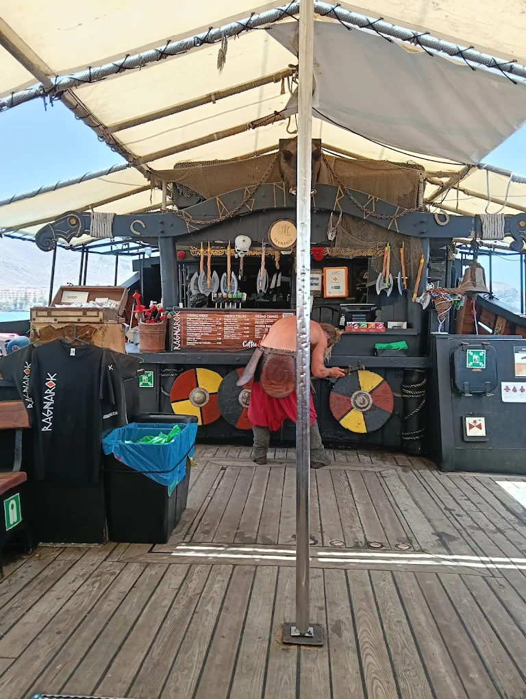 Dolphin Watching in Los Cristianos photo 5