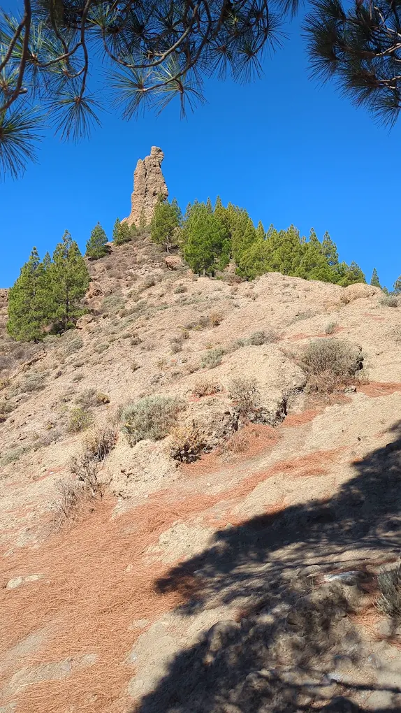 Hiking Tours in Playa del Inglés photo 4