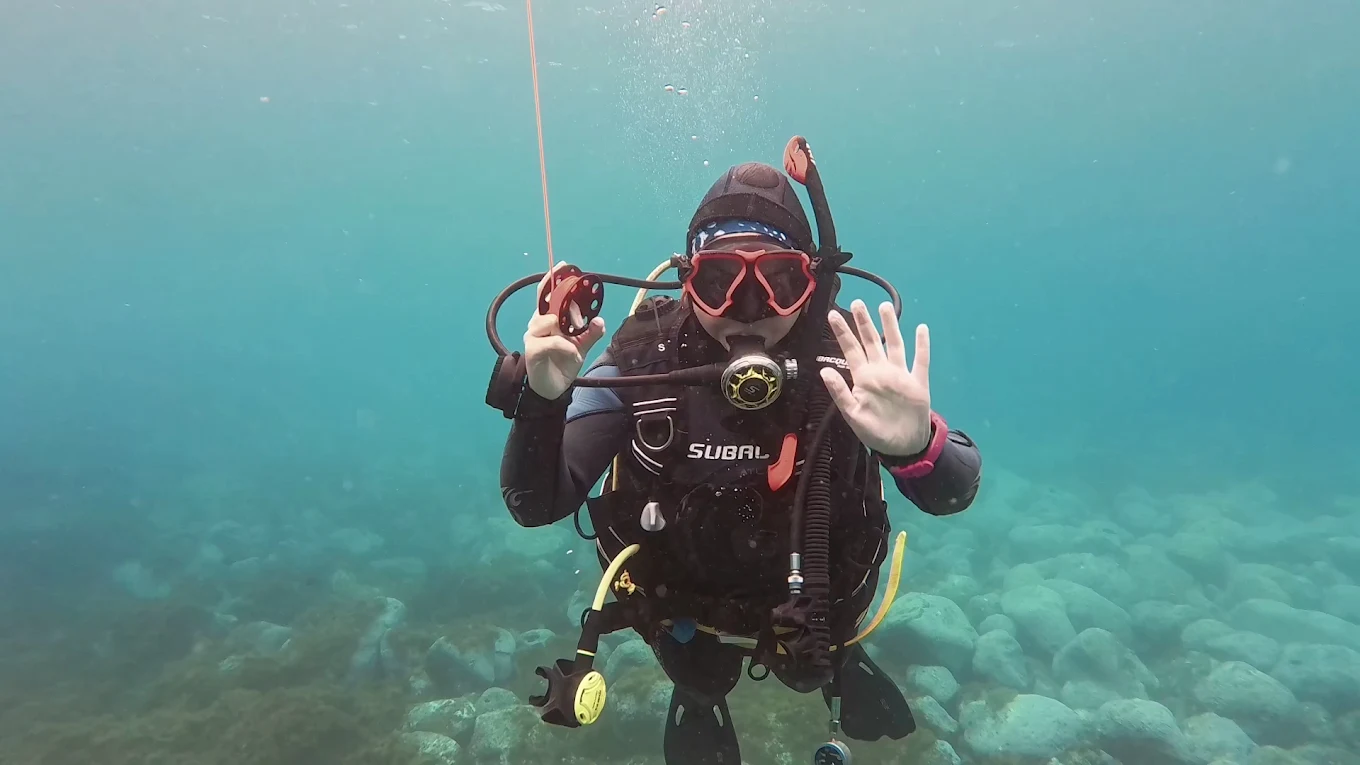 Scuba Courses in Los Gigantes photo 2