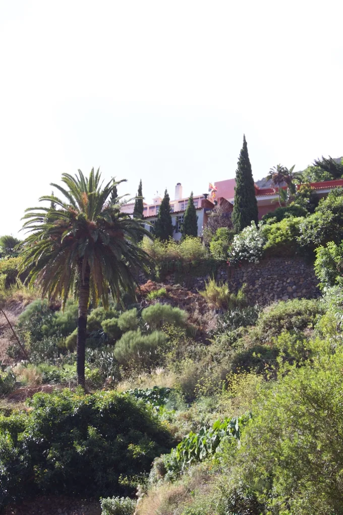 Wellness Retreat in Los Cristianos photo 4