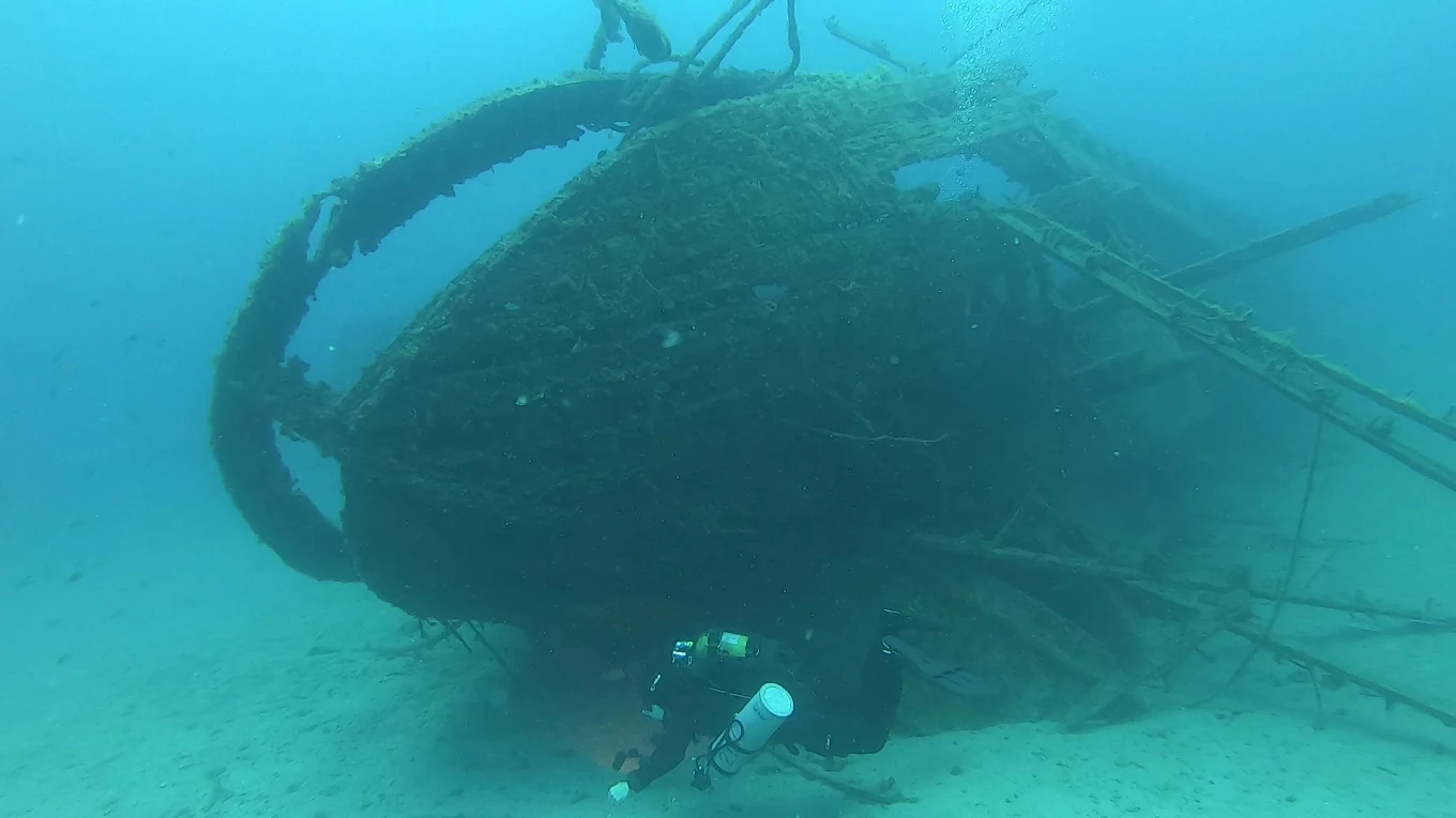 Diving & Snorkeling in Puerto Calero