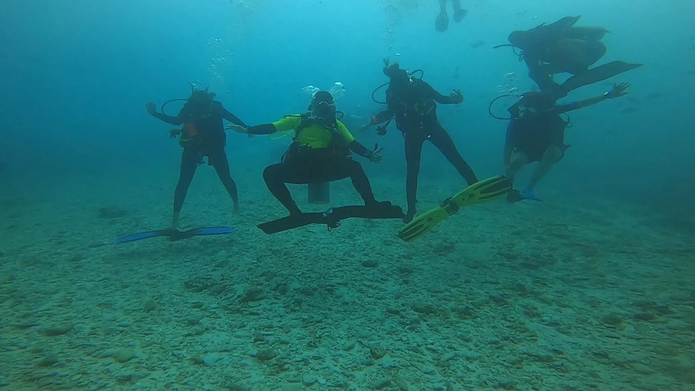 Dolphin Watching in Valverde