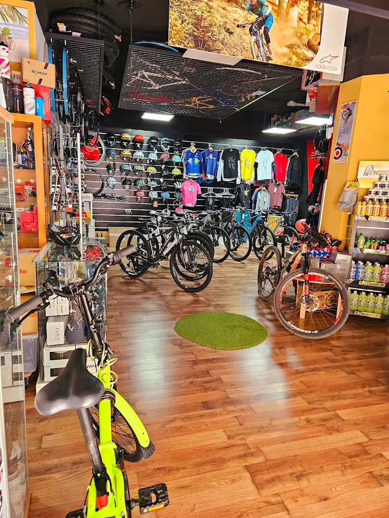 Mountain Bike Rental in Teror photo 3