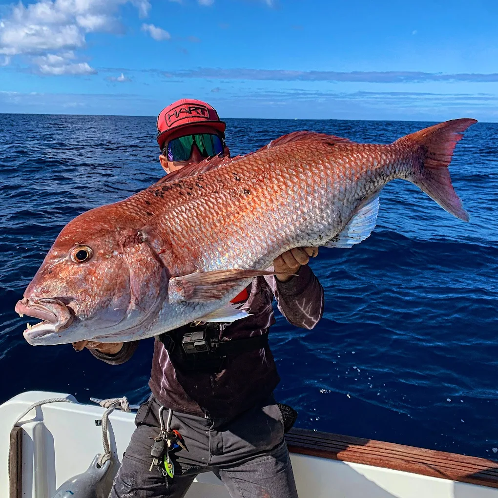 Fishing Charter in Teror