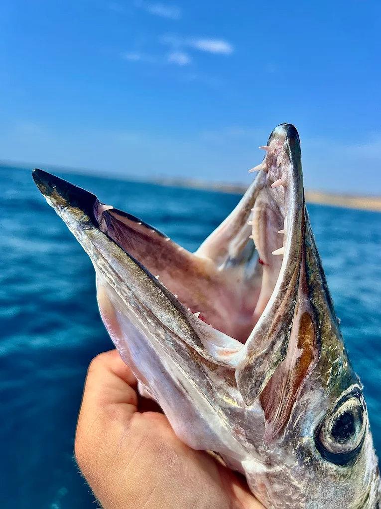 Fishing Charter in Teror photo 3