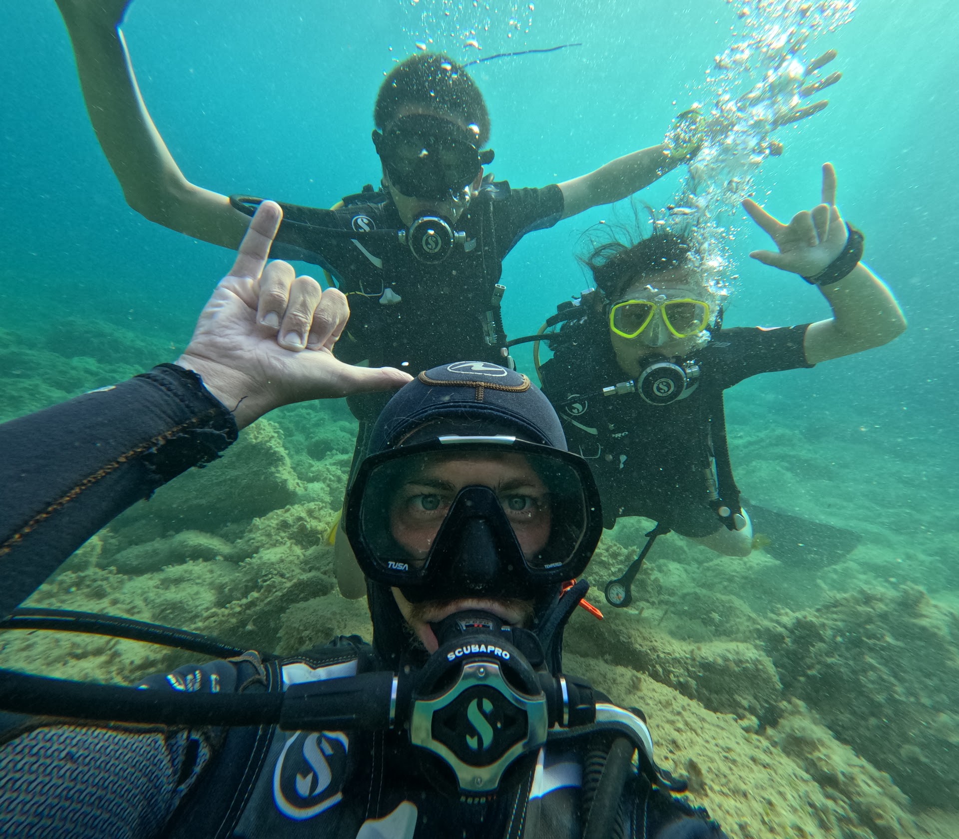 Norway Dive Mallorca - PADI 5 Star IDC Scuba Diving Center