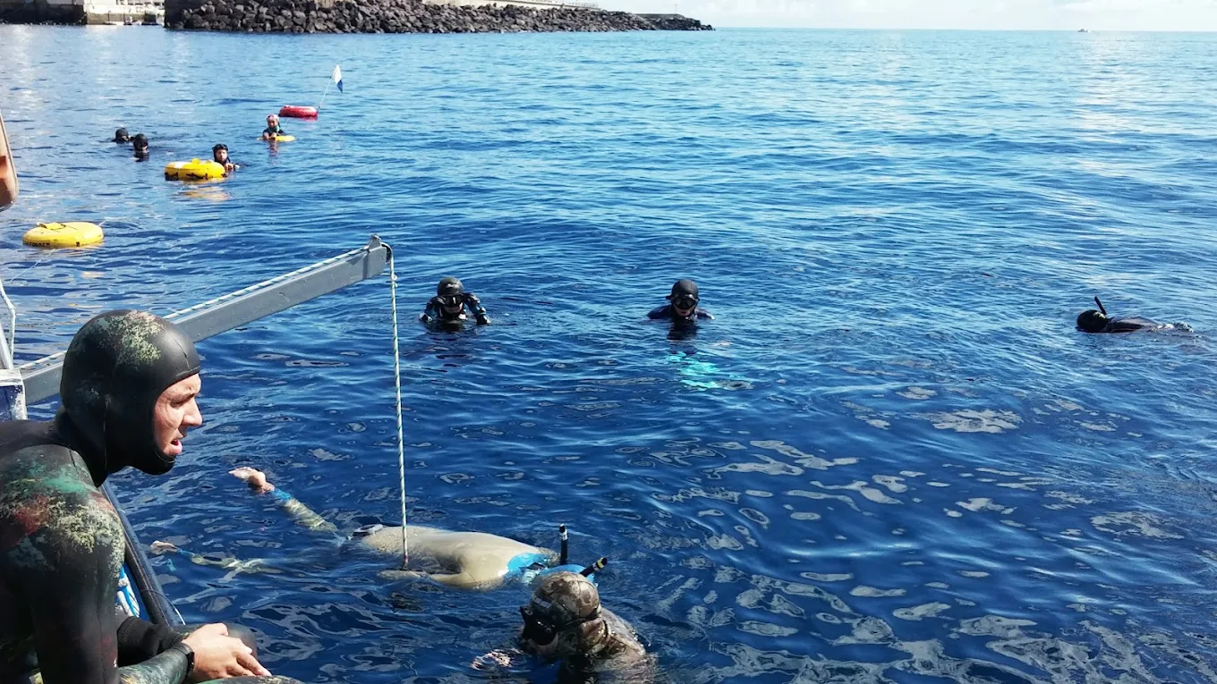 Freediving in Puerto de la Cruz