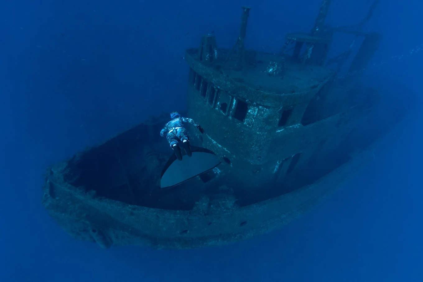 Freediving in Puerto de la Cruz photo 3