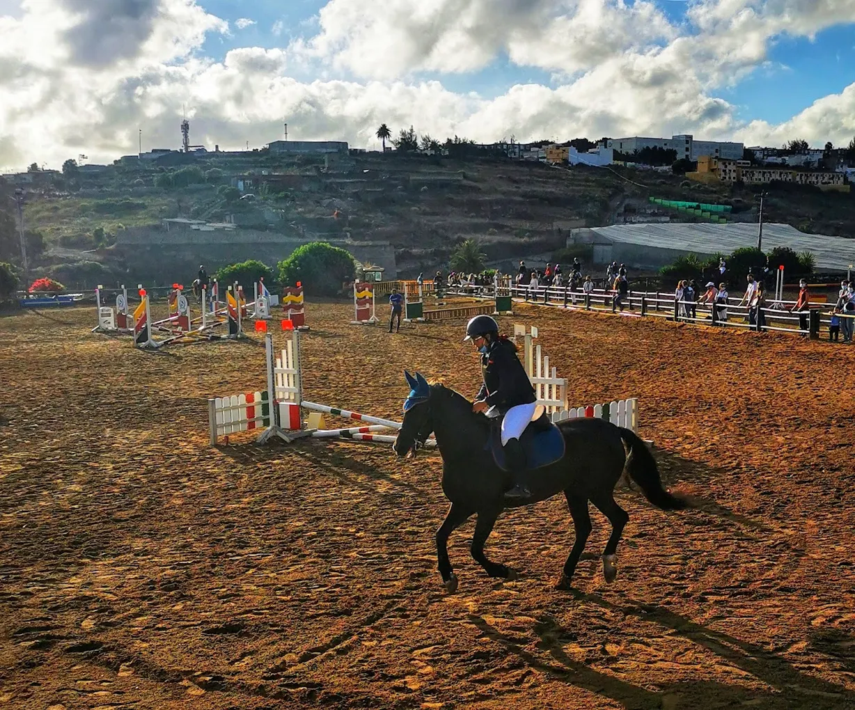 Horseback Riding in Las Palmas