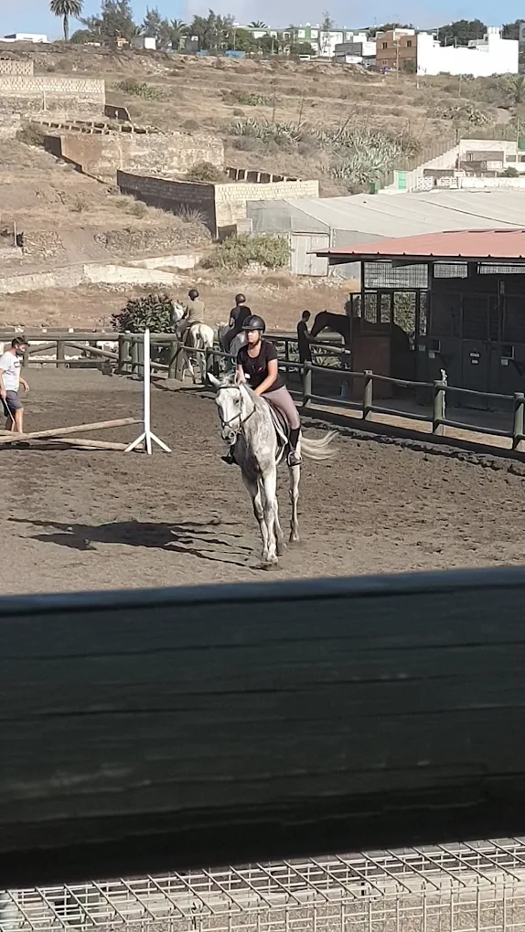 Horseback Riding in Las Palmas photo 2