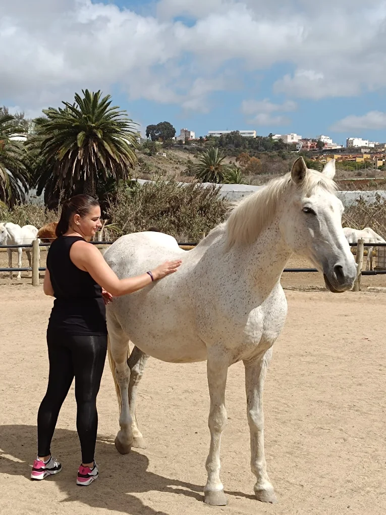 Horseback Riding in Las Palmas photo 4