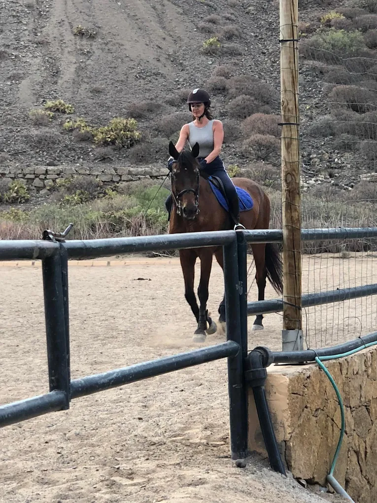 Horseback Riding in Las Palmas photo 5