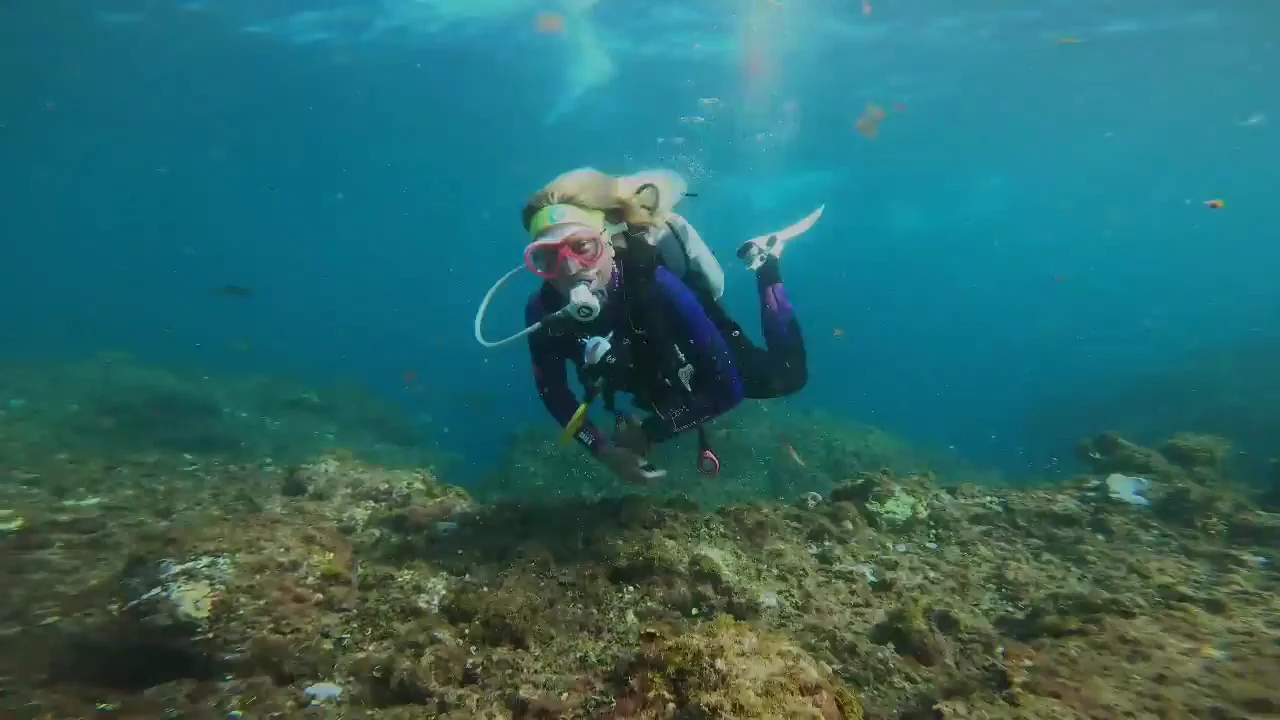 Diving & Snorkeling in Maspalomas photo 2